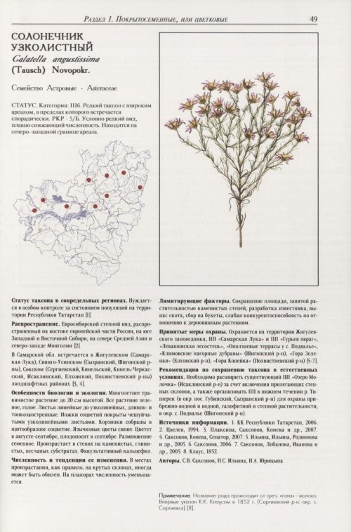 Страница 53