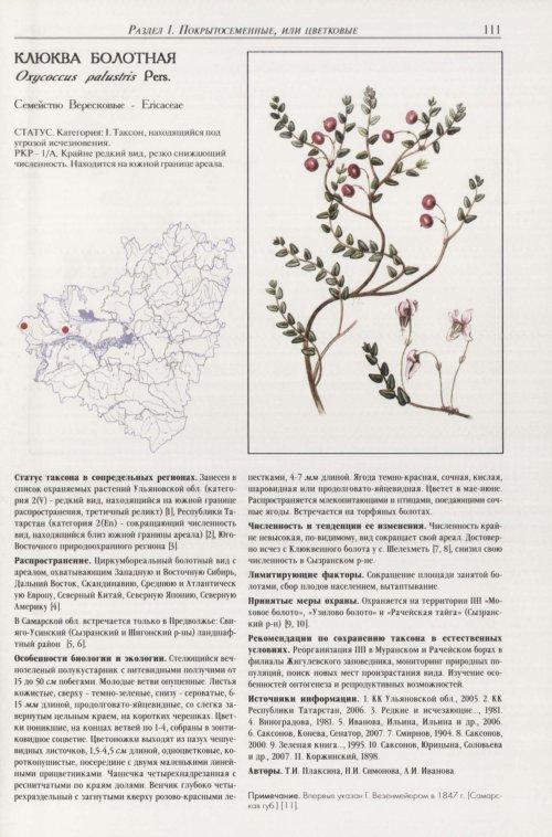 Страница 115