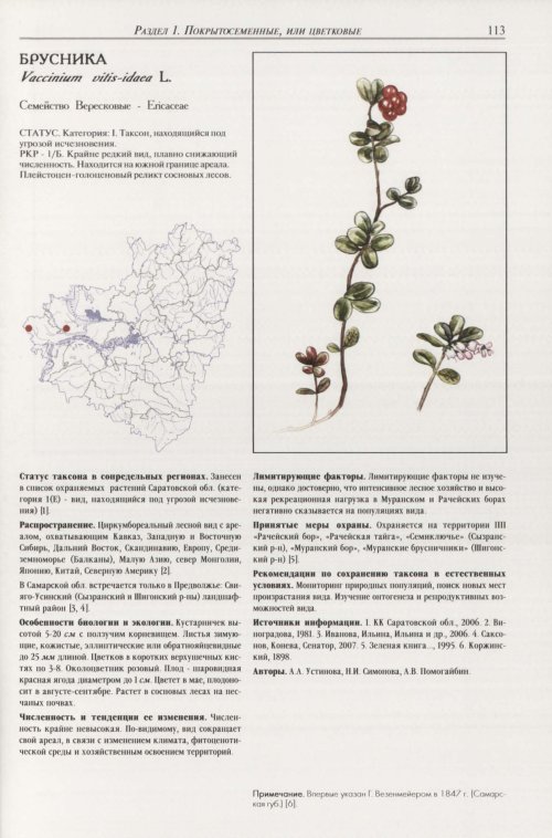 Страница 117