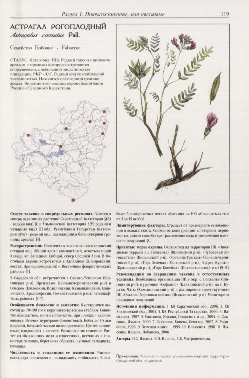 Страница 123