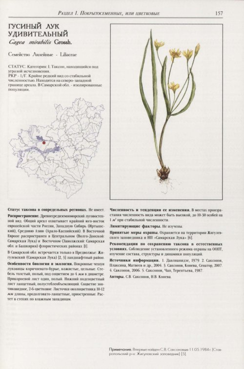 Страница 161