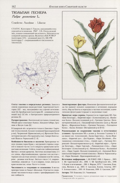 Страница 166