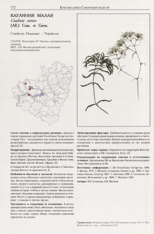 Страница 176