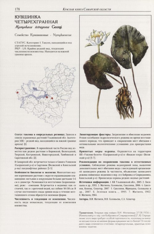 Страница 182