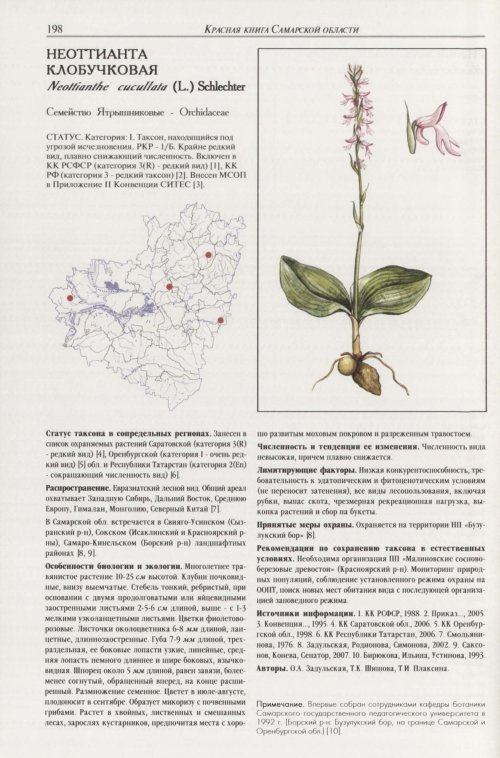 Страница 202