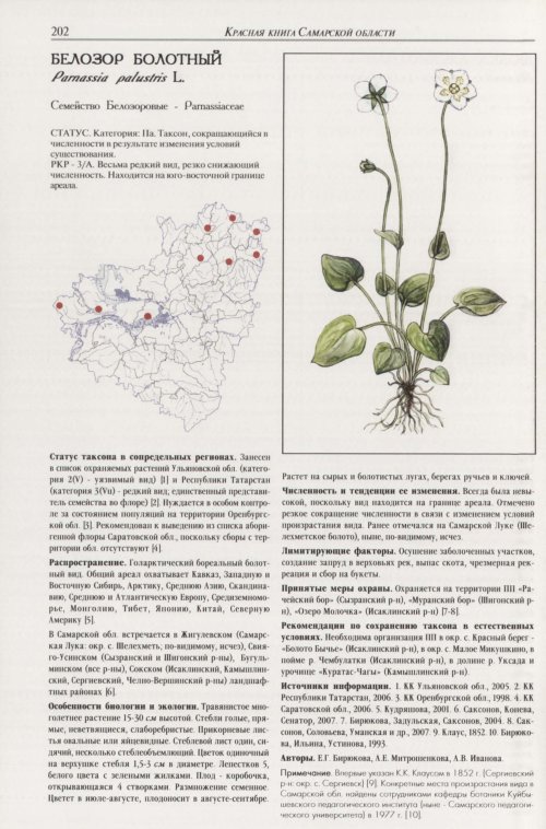 Страница 206