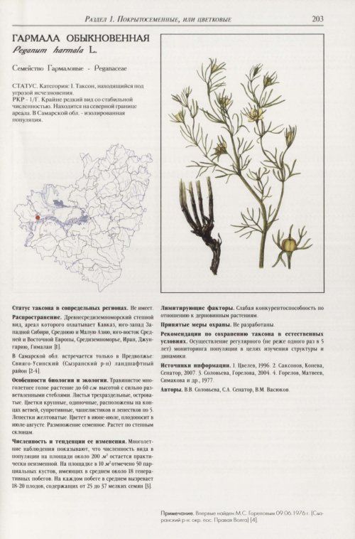 Страница 207