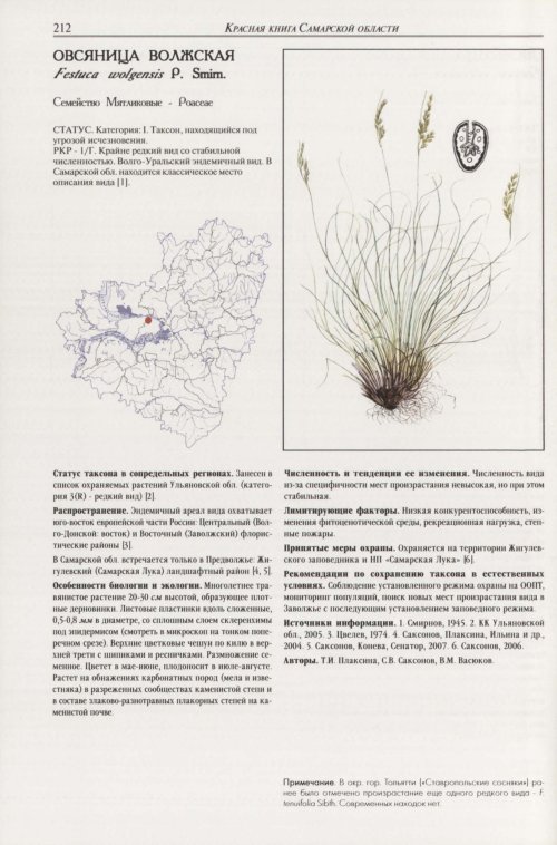 Страница 216
