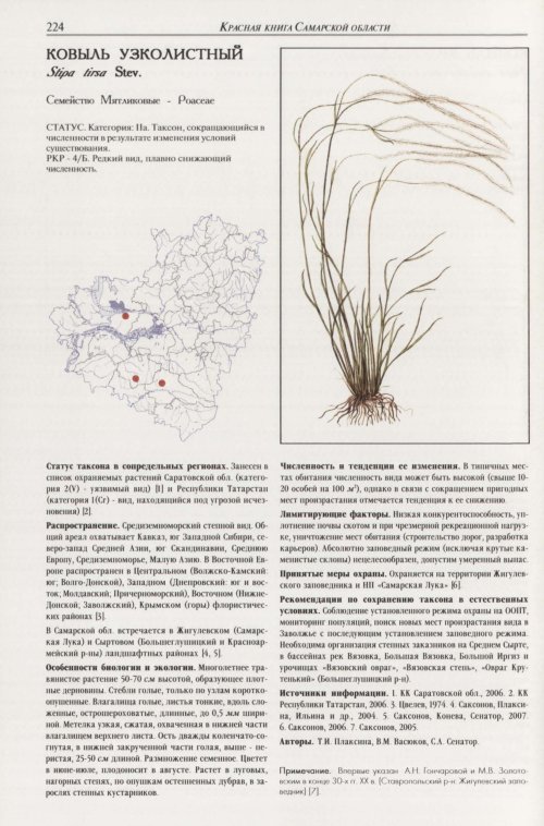 Страница 228