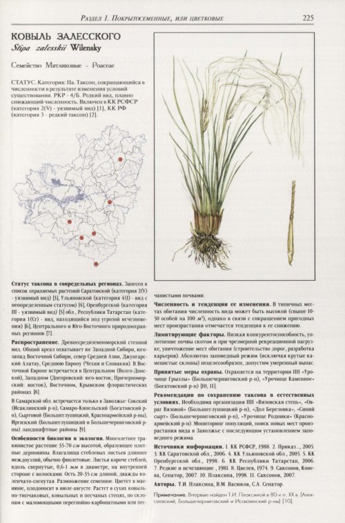 Страница 229