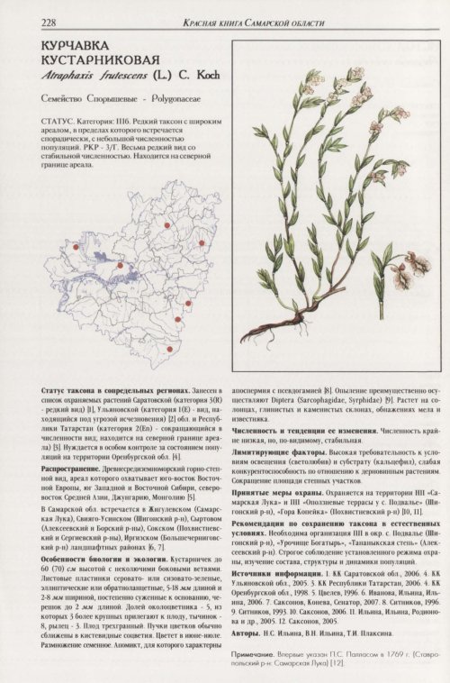 Страница 232