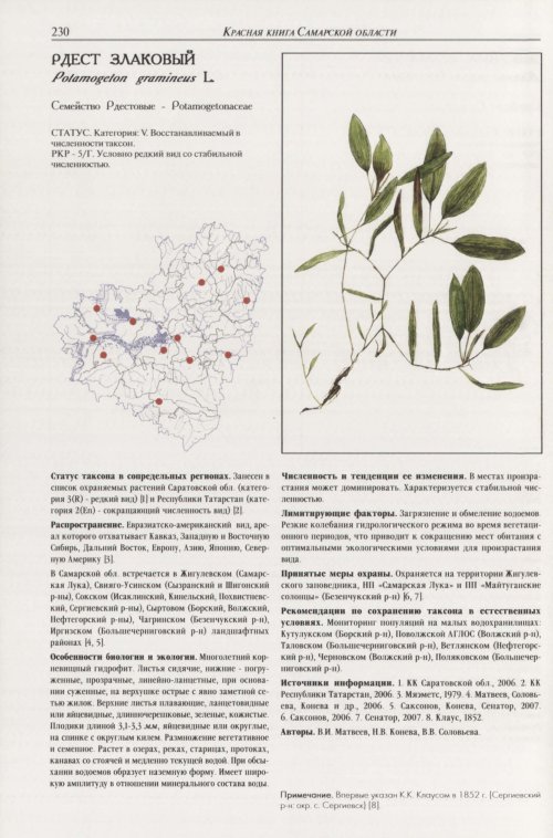 Страница 234