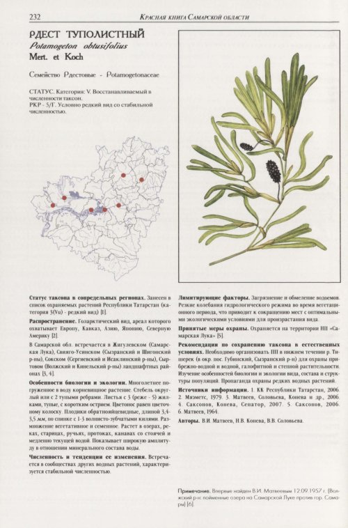 Страница 236