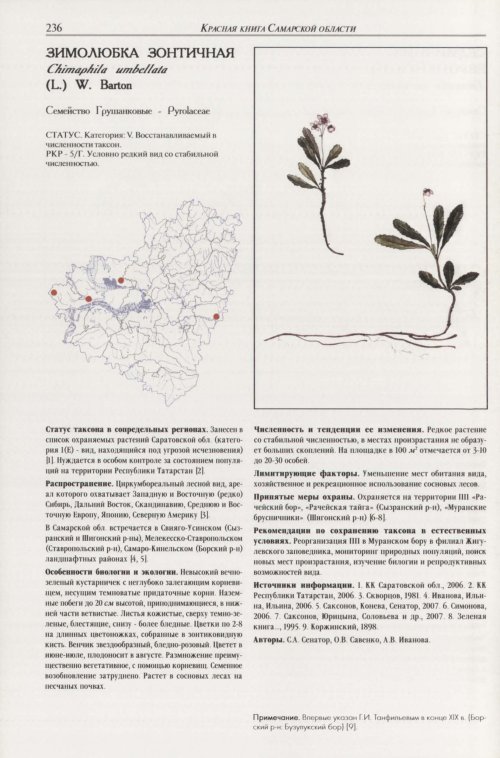 Страница 240