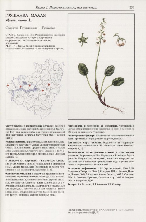 Страница 243
