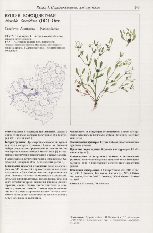 Страница 247