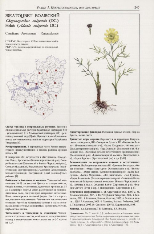Страница 249