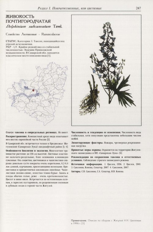 Страница 251