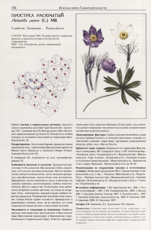 Страница 252