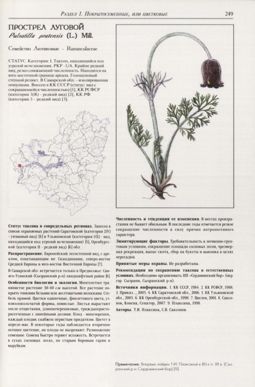 Страница 253