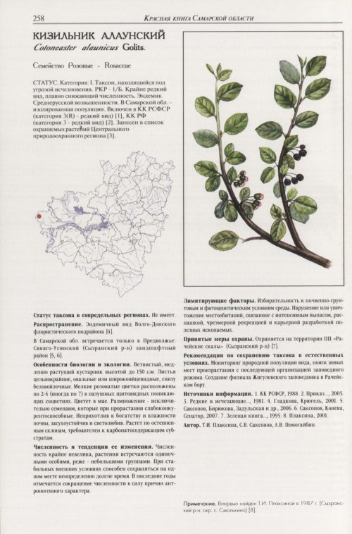Страница 262