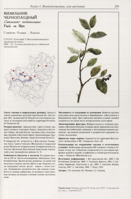 Страница 263