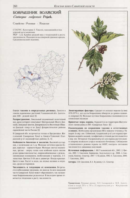 Страница 264
