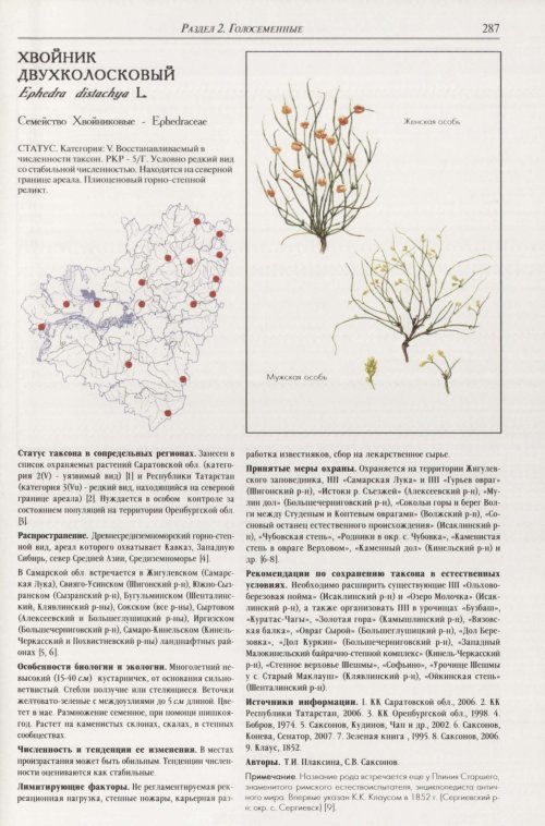 Страница 291