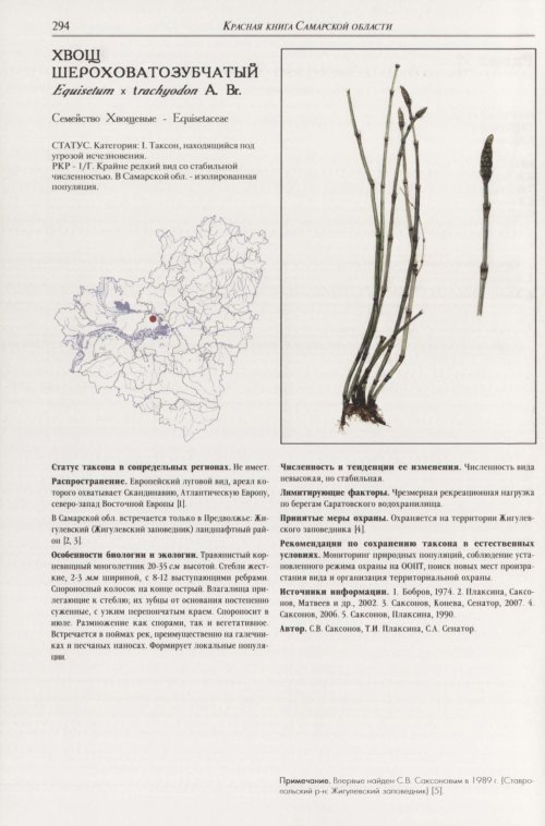 Страница 298
