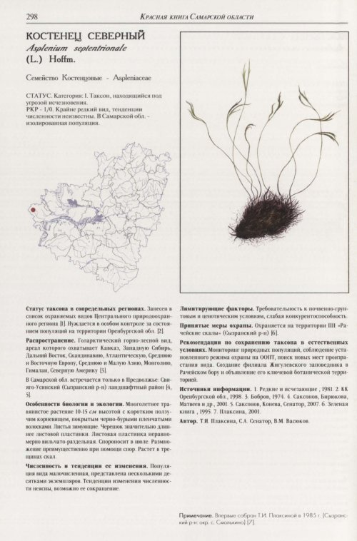 Страница 302