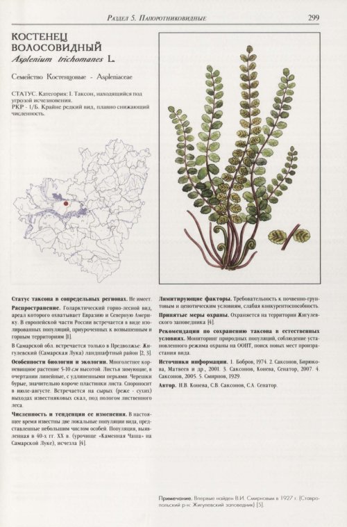 Страница 303
