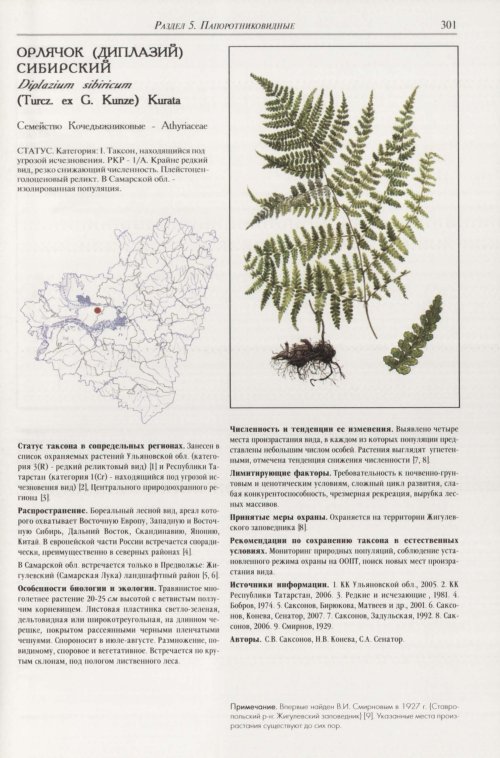 Страница 305