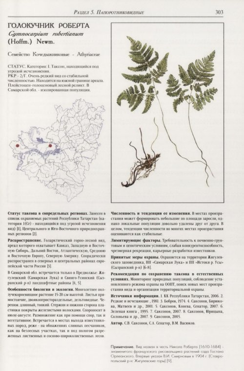 Страница 307