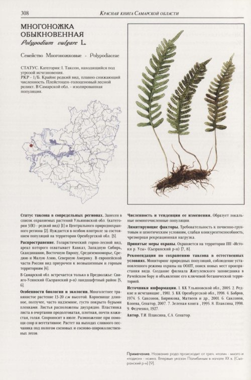 Страница 312