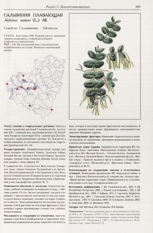 Страница 313