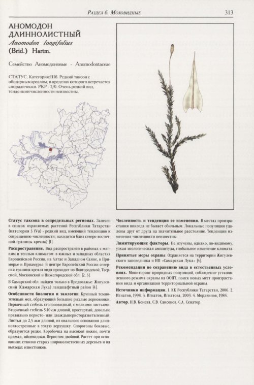 Страница 317