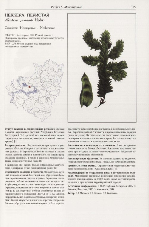 Страница 319