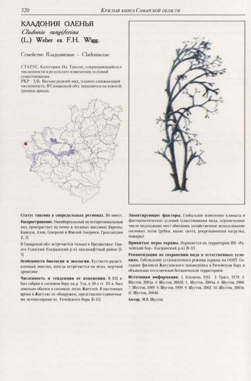 Страница 324