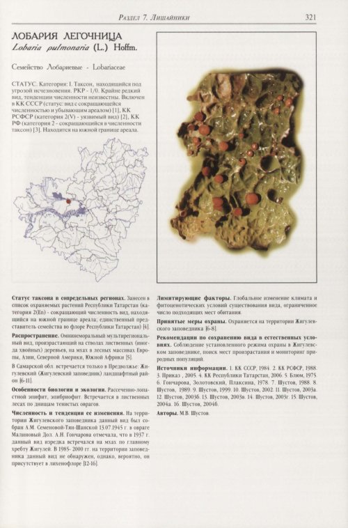 Страница 325
