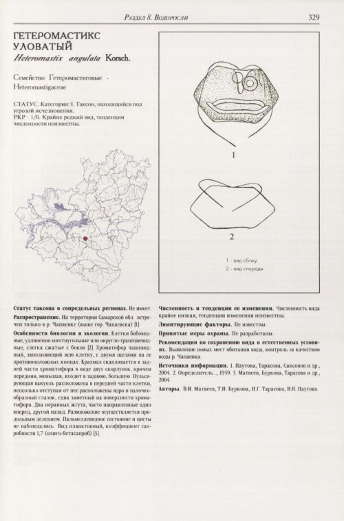 Страница 333