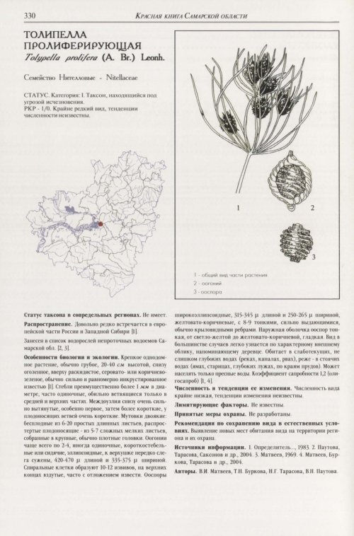 Страница 334