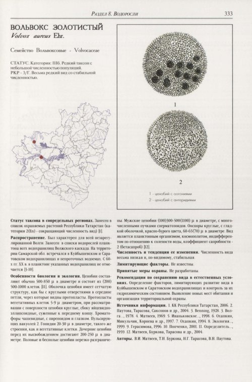Страница 337