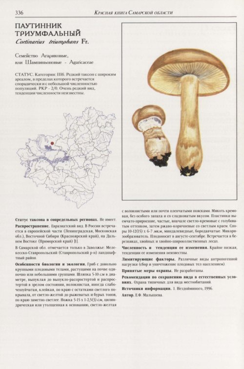 Страница 340