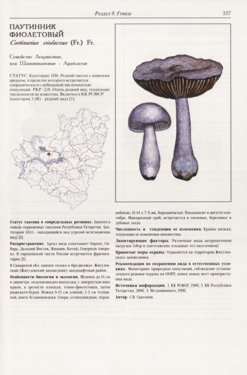 Страница 341
