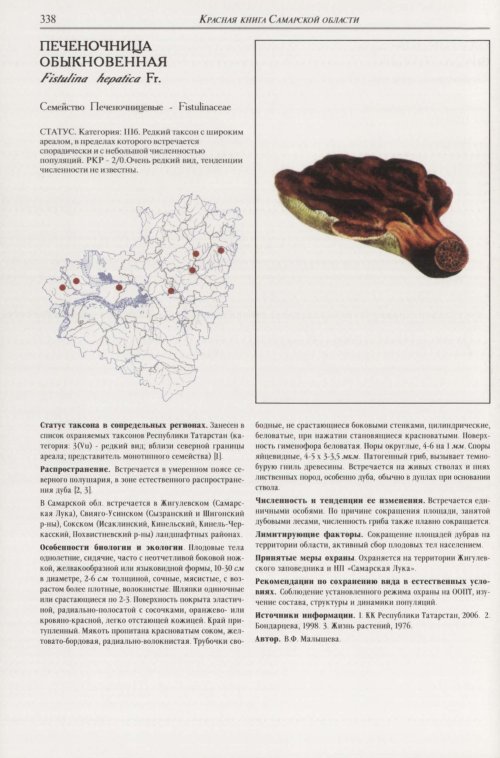 Страница 342