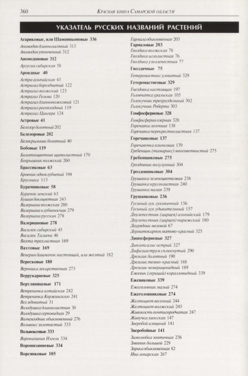Страница 364