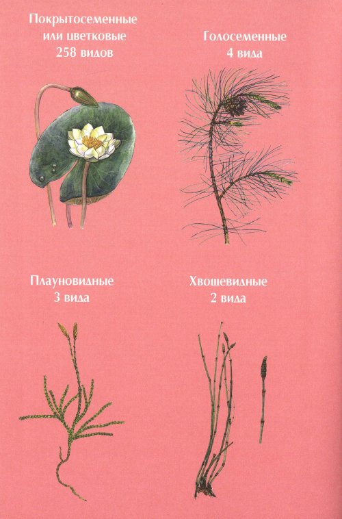 Страница 378