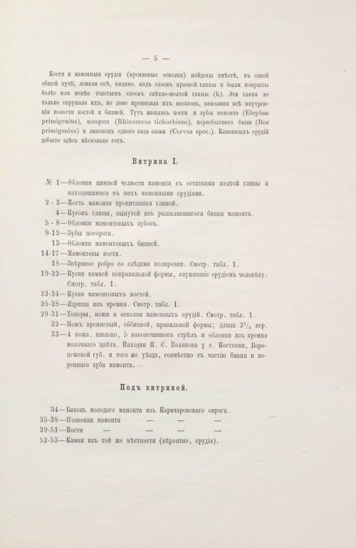 Страница 21