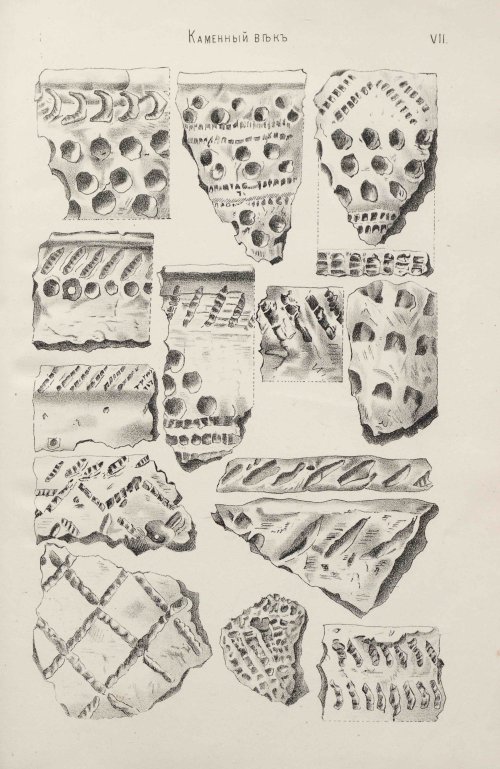 Страница 53