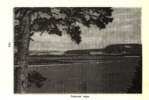 Страница 156